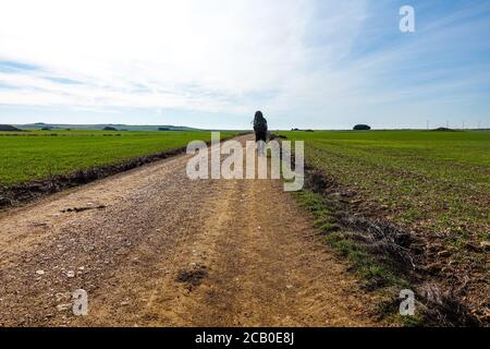 Der Mann geht durch die Felder - die französische Art des `Camino de Santiago` im Winter. Wallfahrten auf ihrer Reise durch Spanien. 2020 Stockfoto